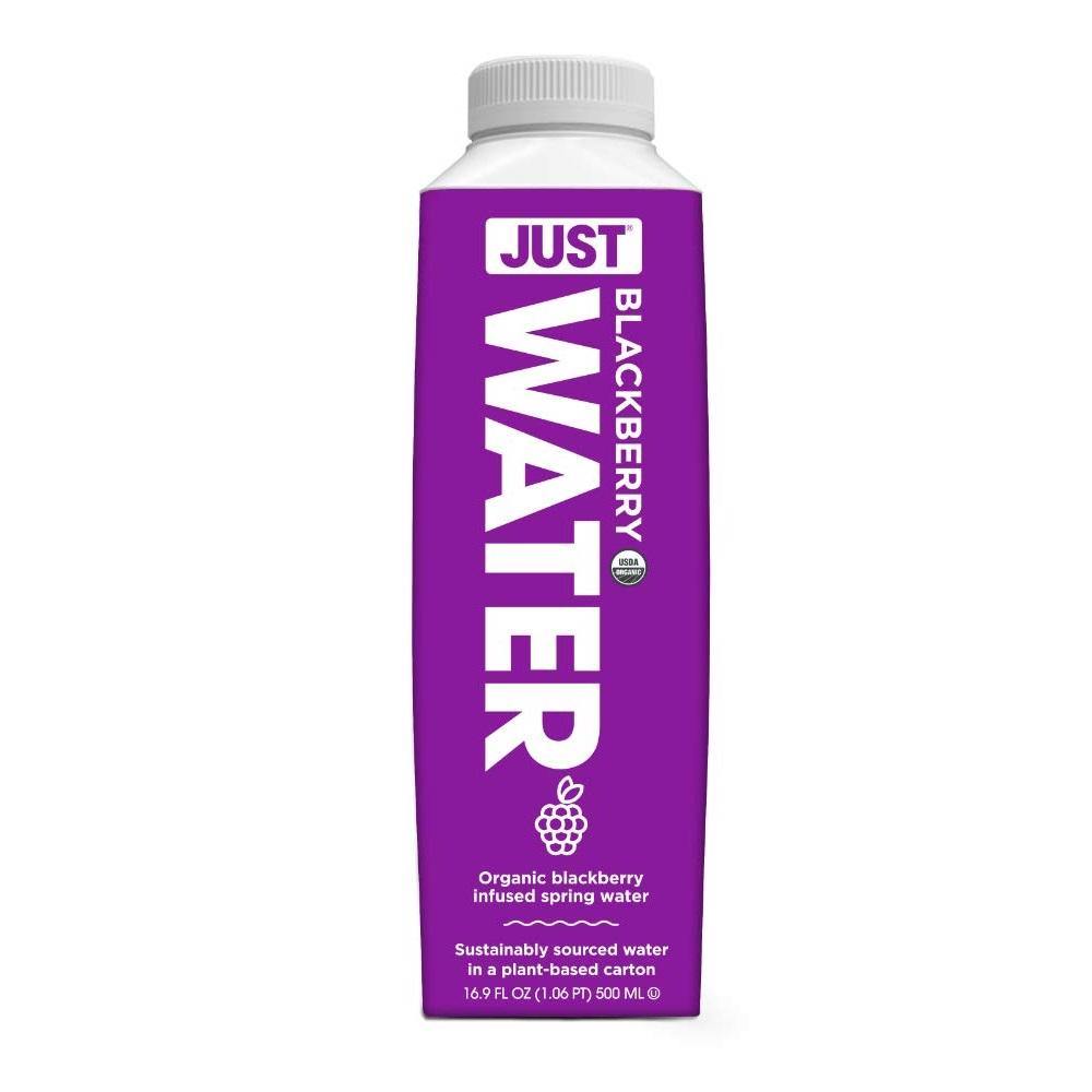 JUST Water Infused Spring Water, Blackberry, 16.9 oz (Pack of 12) - Oasis Snacks