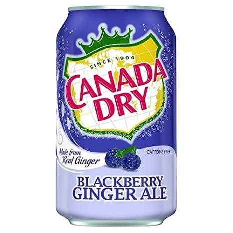 Canada Dry Blackberry Ginger Ale 12oz Cans (Pack of 24) - Oasis Snacks