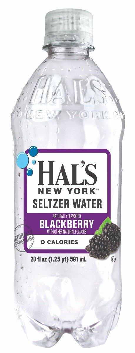 Hal's New York Seltzer Water Blackberry 20 Oz (24 Pack) - Oasis Snacks