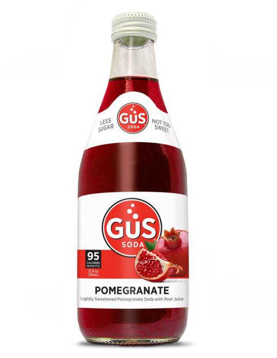 GuS Soda Dry Pomegranate 12 oz (Pack of 24) - Oasis Snacks