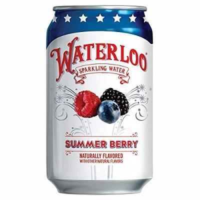 Waterloo Sparkling Water, Summer Berry, 12oz - Multi Pack - Oasis Snacks